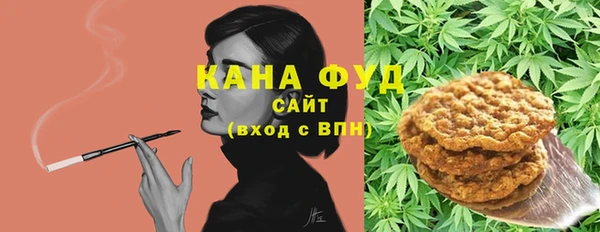 индика Абинск