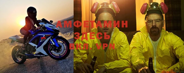 индика Абинск