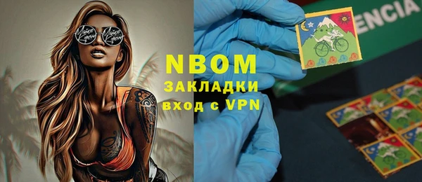 индика Абинск